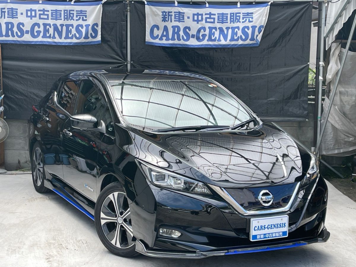 日産 リーフ 2019年式 CARS-GENESIS